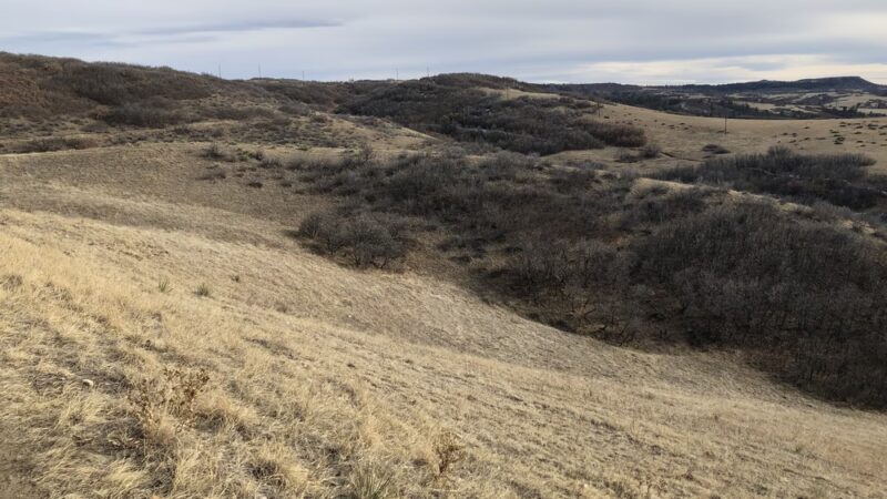 Red-Tail Park - Highlands Ranch, CO