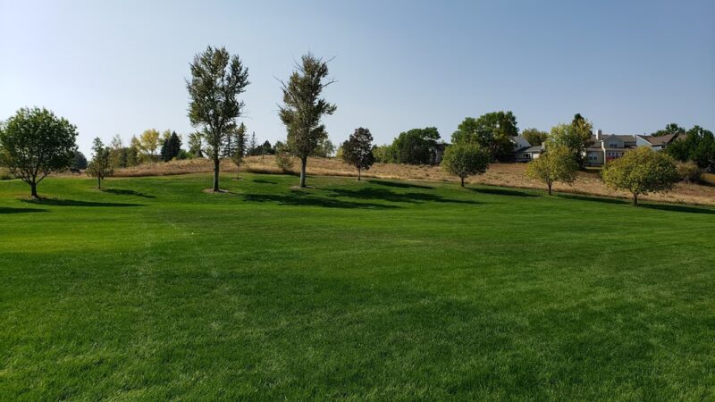Sand Creek Park - Highlands Ranch, CO