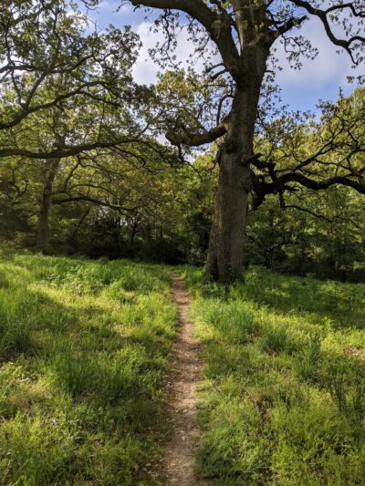Two Rivers Mountain Bike Park - Highlandville, MO