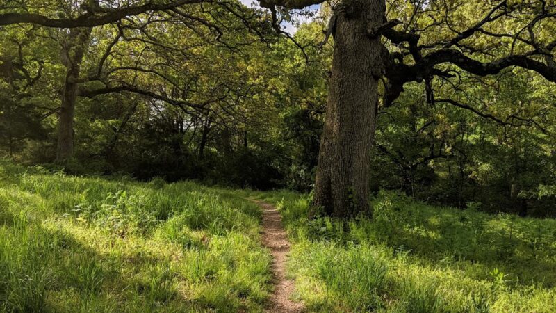 Two Rivers Mountain Bike Park - Highlandville, MO