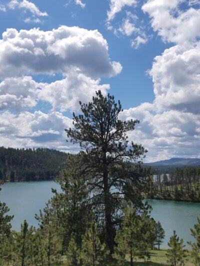 Custer Trail Campground - Hill City, SD