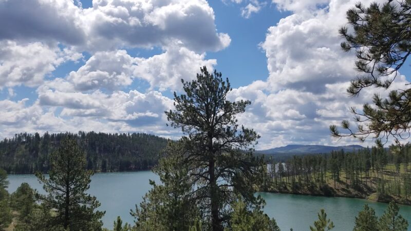Custer Trail Campground - Hill City, SD
