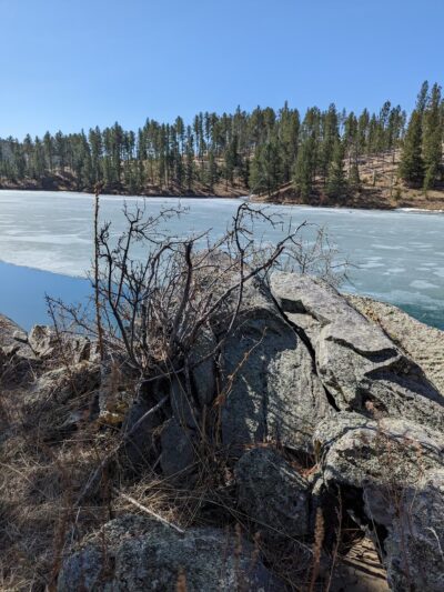 Custer Trail Campground - Hill City, SD