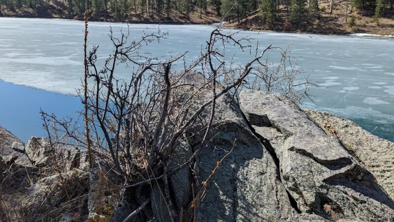 Custer Trail Campground - Hill City, SD