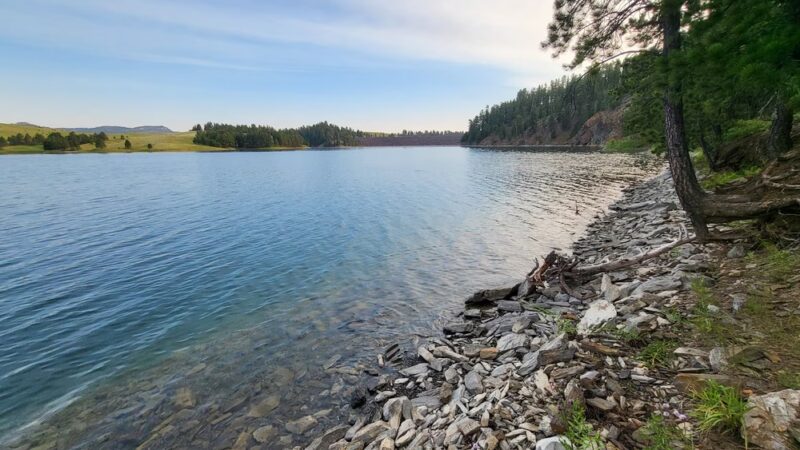 Dutchman Campground - Hill City, SD