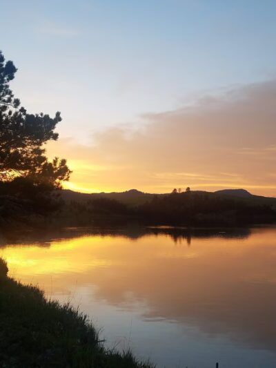 Dutchman Campground - Hill City, SD