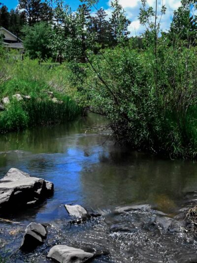 Firehouse Campground - Hill City, SD