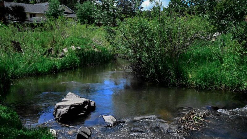 Firehouse Campground - Hill City, SD