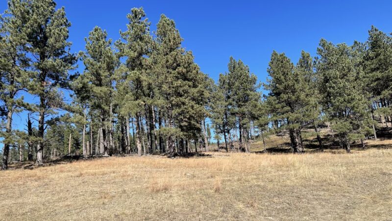 Mickelson Trail -- Hill City - Hill City, SD