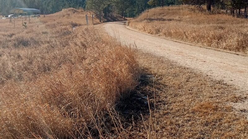 Mickelson Trail -- Hill City - Hill City, SD