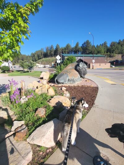 Spirit of the Hills Park - Hill City, SD