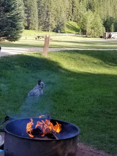 The Ditch Creek Campground - Hill City, SD