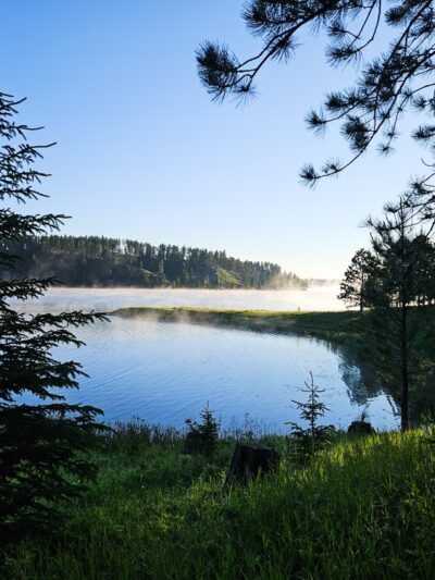Whitetail Campground - Hill City, SD