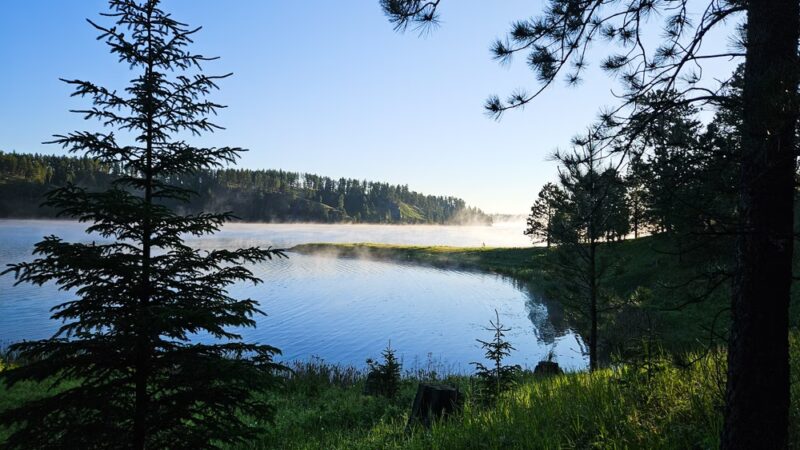 Whitetail Campground - Hill City, SD