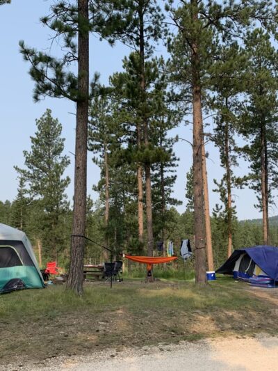 Whitetail Campground - Hill City, SD