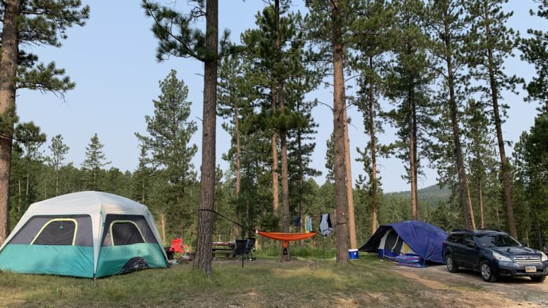 Whitetail Campground - Hill City, SD