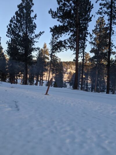 Whitetail Campground - Hill City, SD