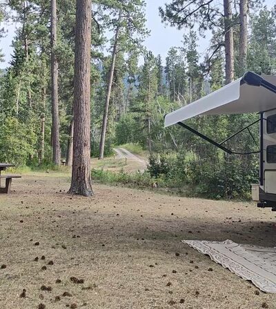 Willow Creek Horse Camp - Hill City, SD
