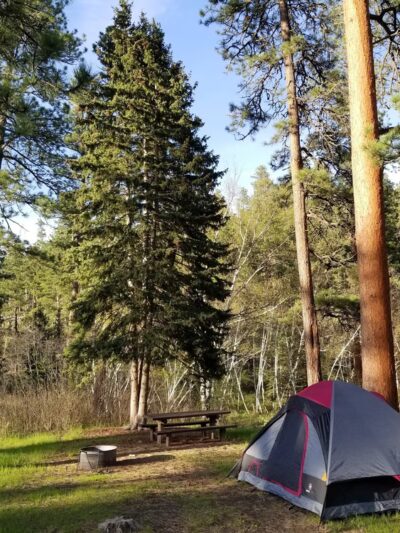 Willow Creek Horse Camp - Hill City, SD