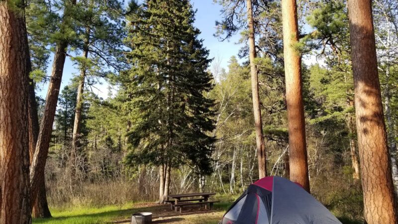 Willow Creek Horse Camp - Hill City, SD