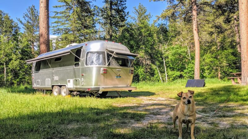 Willow Creek Horse Camp - Hill City, SD