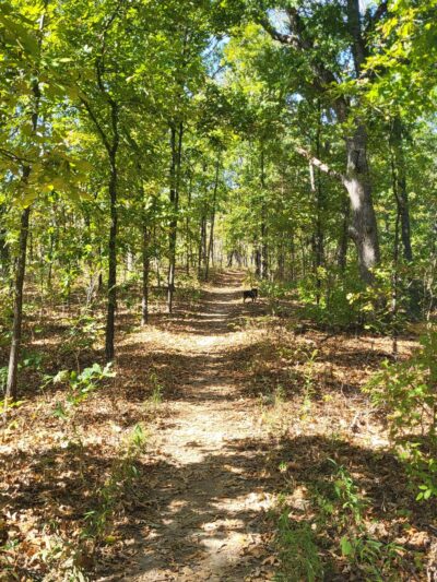 Valley View Glades Trailhead - Hillsboro, MO