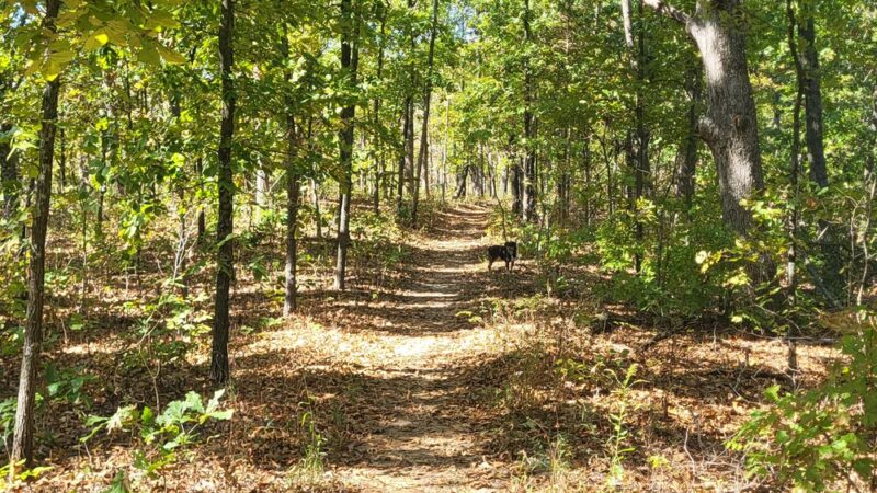 Valley View Glades Trailhead - Hillsboro, MO