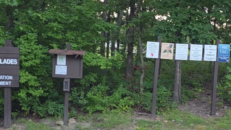 Valley View Glades Trailhead - Hillsboro, MO