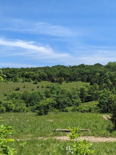 Valley View Glades Trailhead - Hillsboro, MO