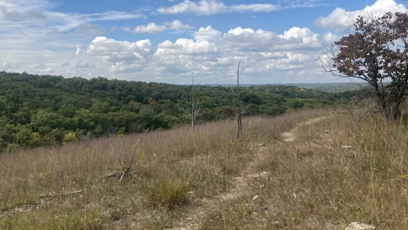 Valley View Glades Trailhead - Hillsboro, MO