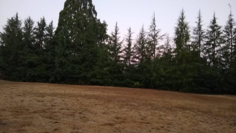 Aidalie's Off-Leash Dog Area - Hillsboro, OR