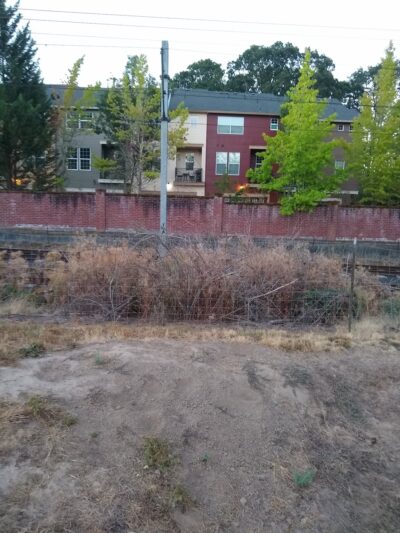 Aidalie's Off-Leash Dog Area - Hillsboro, OR