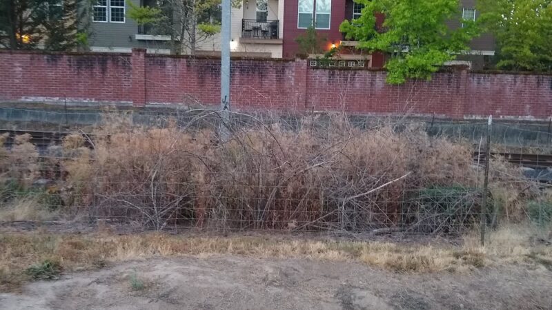 Aidalie's Off-Leash Dog Area - Hillsboro, OR
