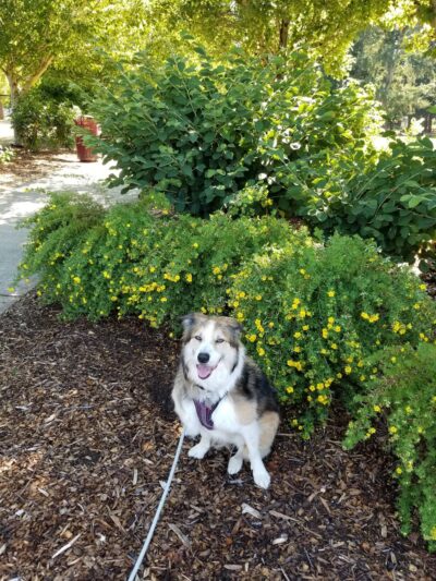 Bicentennial Park - Hillsboro, OR