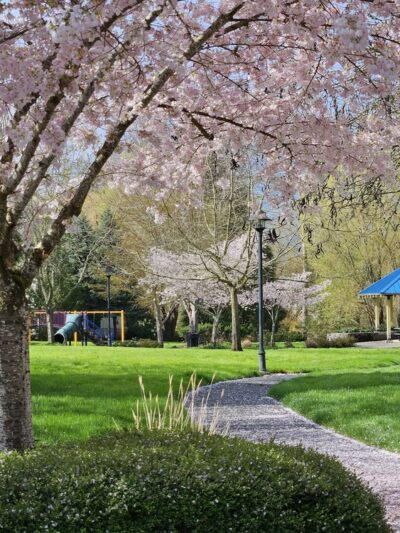 Glencoe Creek Park - Hillsboro, OR