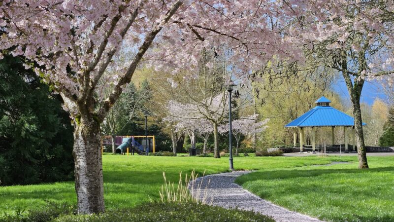 Glencoe Creek Park - Hillsboro, OR