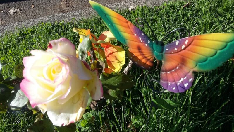 McKinney Park - Hillsboro, OR