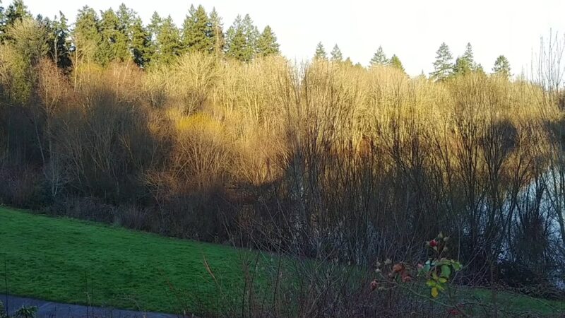 Rood Bridge Park - Hillsboro, OR
