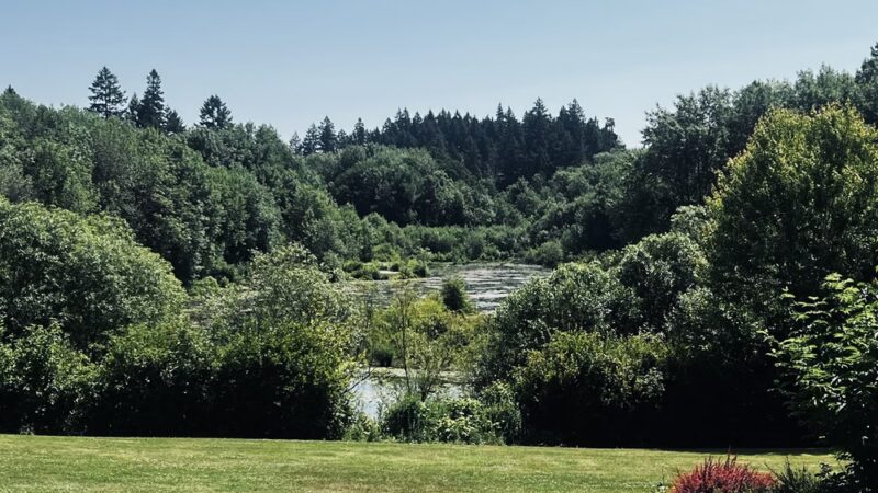 Rood Bridge Park - Hillsboro, OR