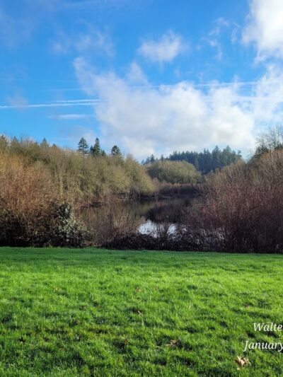 Rood Bridge Park - Hillsboro, OR