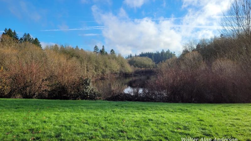 Rood Bridge Park - Hillsboro, OR