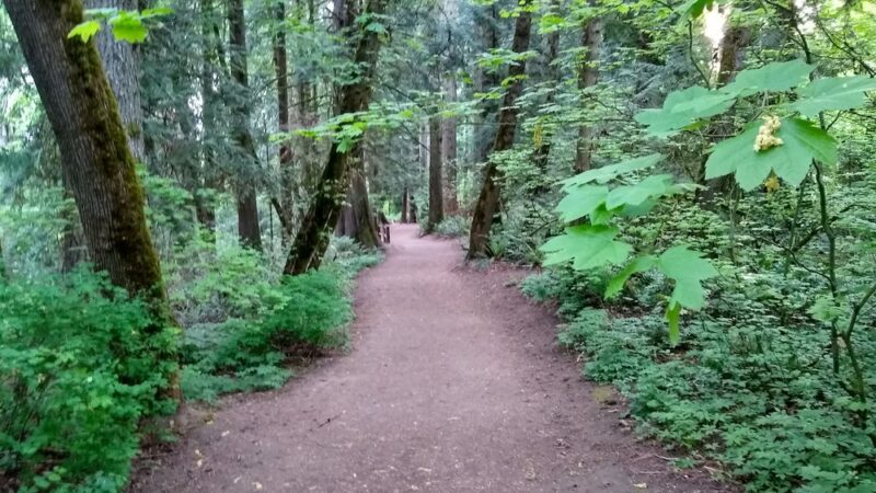 S Loop Trail - Hillsboro, OR