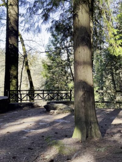 S Loop Trail - Hillsboro, OR