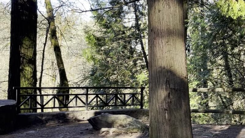 S Loop Trail - Hillsboro, OR