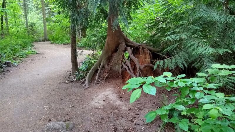S Loop Trail - Hillsboro, OR