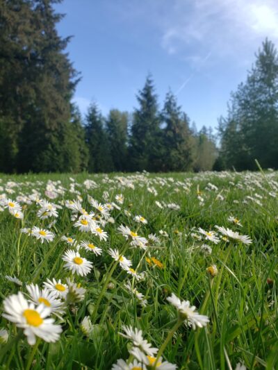 Shadow Springs At Rock Creek Trail - Hillsboro, OR