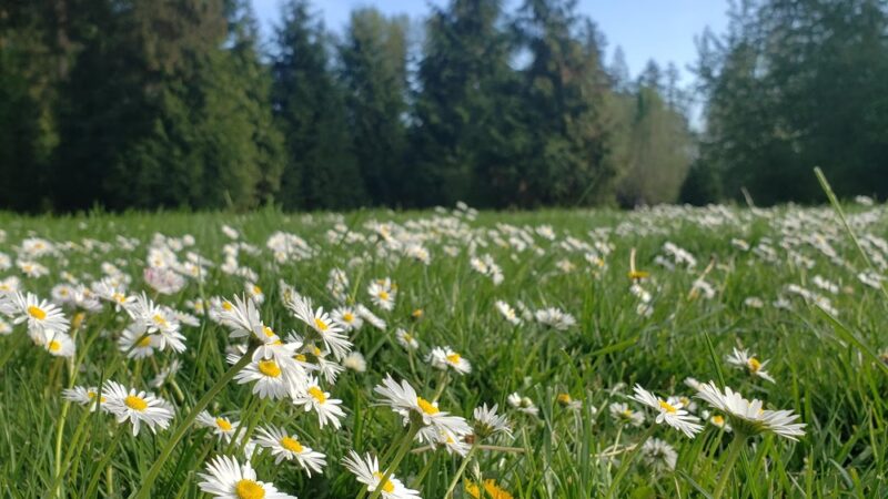 Shadow Springs At Rock Creek Trail - Hillsboro, OR