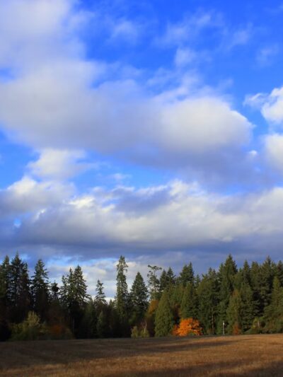Sneddon Home - Hillsboro, OR