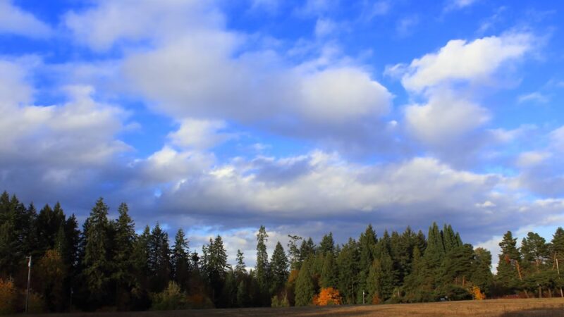 Sneddon Home - Hillsboro, OR