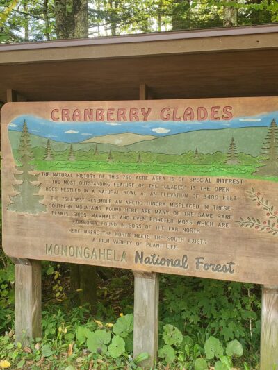 Cranberry Glades Botanical Area - Hillsboro, WV